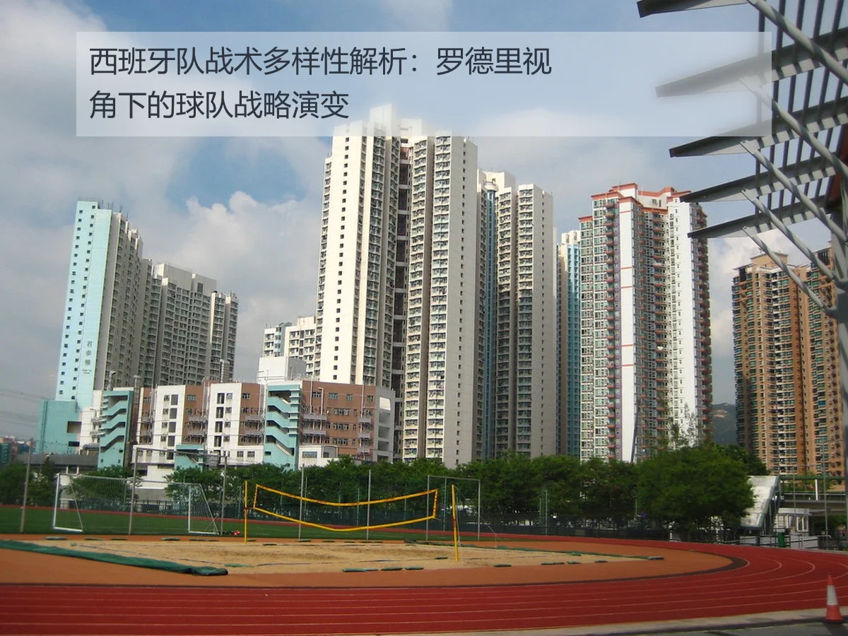 西班牙队战术多样性解析：罗德里视角下的球队战略演变